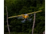 Hangar 9 Carbon Cub 15cc ARF