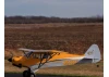Hangar 9 Carbon Cub 15cc ARF