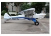 Hangar 9 CubCrafters XCub 60cc ARF [COLLECTION SG14 1QN ONLY]