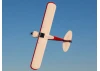 Hangar 9 Cubcrafters Carbon Cub FX-3 [COLLECTION SG14 1QN ONLY]