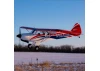 Hangar 9 Cubcrafters Carbon Cub FX-3 [COLLECTION SG14 1QN ONLY]