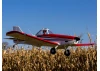 Hangar 9 Pawnee Brave 20cc ARF