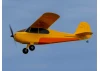 HobbyZone Champ Anniversary Special Edition - RTF