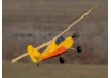 HobbyZone Champ Anniversary Special Edition - RTF