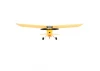 HobbyZone Champ Starter RC Plane - RTF
