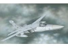 Italeri Ef-111 A Raven Disc
