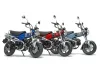 1:12 Honda Dax125 Tamiya Edn