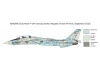 Italeri 1/72 F-14A Tomcat