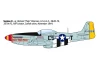 Italeri P-51D Mustang Aces