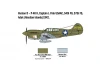 Italeri 1/48 Raf P-40E/K Kittyhawk