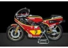 Italeri Suzuki Rg 500 Xr27(Team B Sheen)78