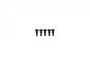 Tamiya 3X10mm Step Screw *5