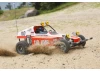 Tamiya Buggy Champ/Rough Rider Ltd