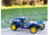 Tamiya Holiday Buggy (2010) (DT-02)