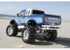 Tamiya Toyota Bruiser