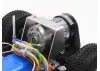 Tamiya Lamborghini Cheetah (2026)