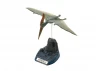 1/35 Pteranodon