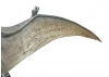 1/35 Pteranodon