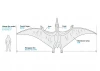 1/35 Pteranodon