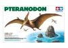 1/35 Pteranodon