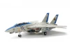 Tamiya 1/48 F-14D Tomcat