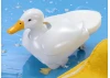 Tamiya Walking & Swimming Duck