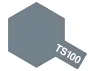 Tamiya Spray Paint TS-100 SG Bright Gun Metal