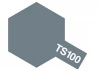 Tamiya Spray Paint TS-100 SG Bright Gun Metal
