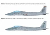 Italeri F-15C Eagle