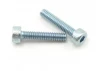 Tamiya 2X10mm Cap Screw (2Pcs)
