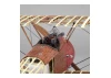 Artesania 1:16 Sopwith Camel F1 1918