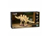 Dinosaur Fossils: Stegosaurus