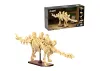 Dinosaur Fossils: Stegosaurus