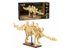 Dinosaur Fossils: Stegosaurus