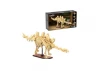 Dinosaur Fossils: Stegosaurus