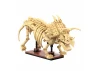 Dinosaur Fossils: Triceratops