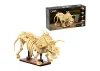 Dinosaur Fossils: Triceratops