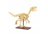 Tray of 3 Dinosaur Eggs with Stegosaurus - Triceratops & Velociraptor