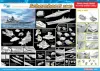 Dragon 1/350 German Battleship Scharnhorst