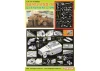Dragon Sd.Kfz.250/8 w/7.5cm K.51 L/24 (Premium Edition)
