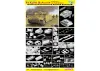 Dragon 1/35 Pzkpfw III Ausf N W/Schu Discc