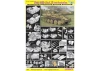 Dragon 1/35 Flak 38(T)Ausf M Late Discc
