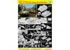 Dragon 1/35 M7 Priest Early Production