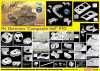 Dragon 1/35 M4 Sherman Composite Hull Pto