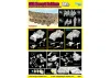 Dragon Sas 80 Year Anniversary Model Set