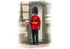 British Grenadier Queen’s Guards