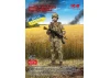 Soldier of the Armed Forces of Ukraine