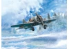 I-16 Type 29 - WWII Soviet Fighter Plane