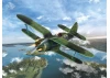 I-153 Chaika - WWII Soviet Fighter Plane