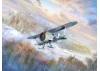 I-153 (Winter Version) - WWII Soviet Fighter Plane